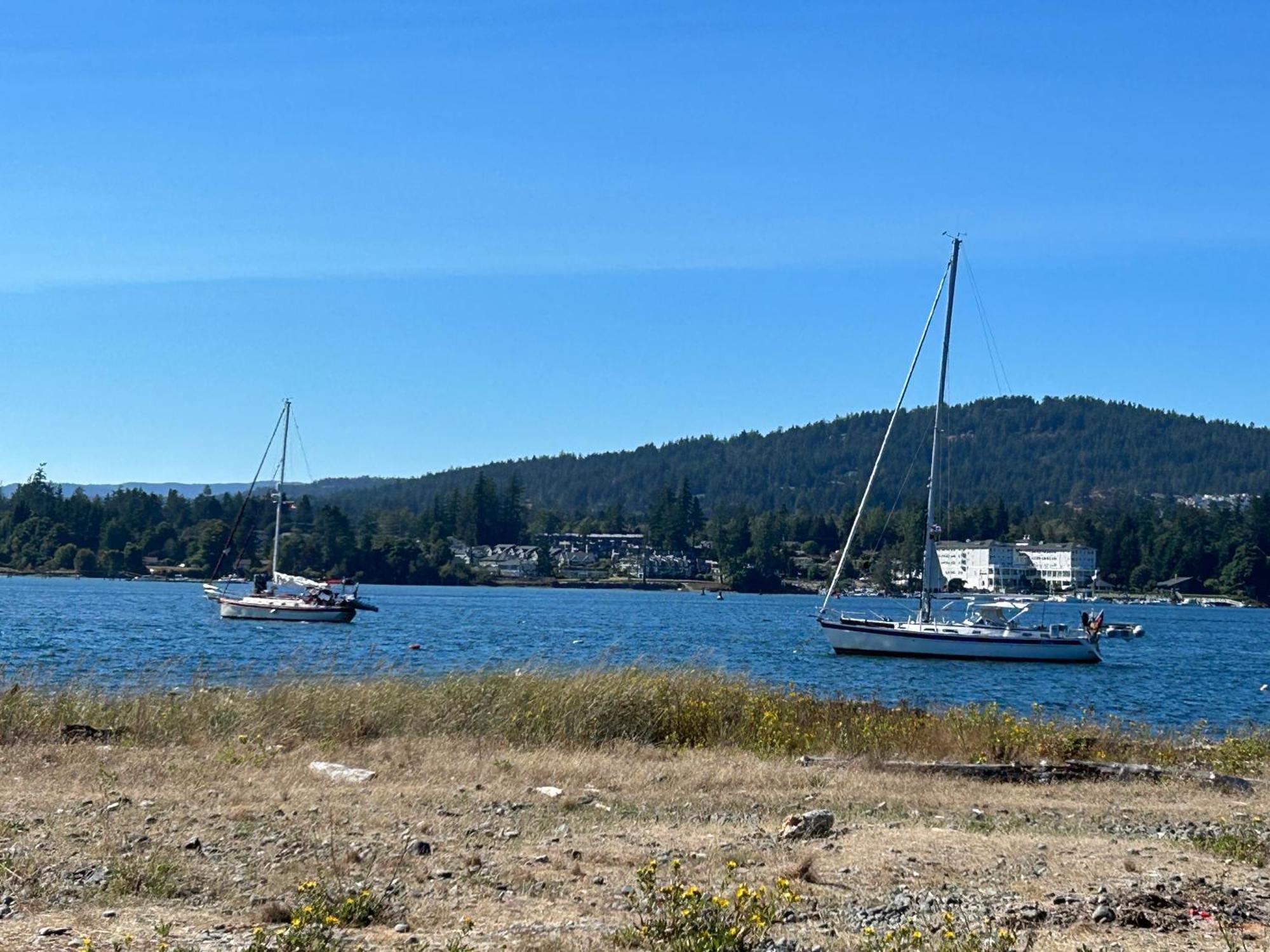 Seagull Studio Vacation Suite Sooke Exterior foto